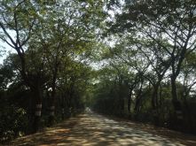 A beautiful road in Odhisa